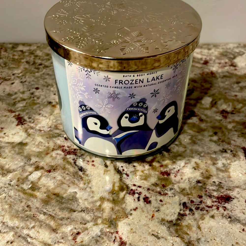 Bath & Body Works Frozen Lake Candle